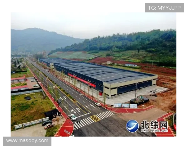 全运会特别报道南京足球队如何实现转型与崛起的奋斗历程